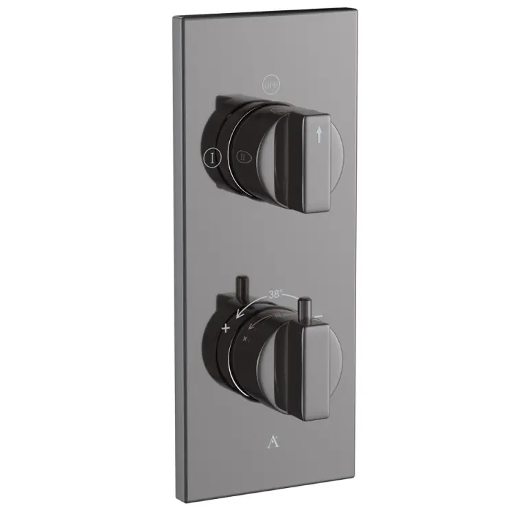 Artize Black Chrome  Thermatik-R Thermostatic shower valve with 2-way outlets Image 0
