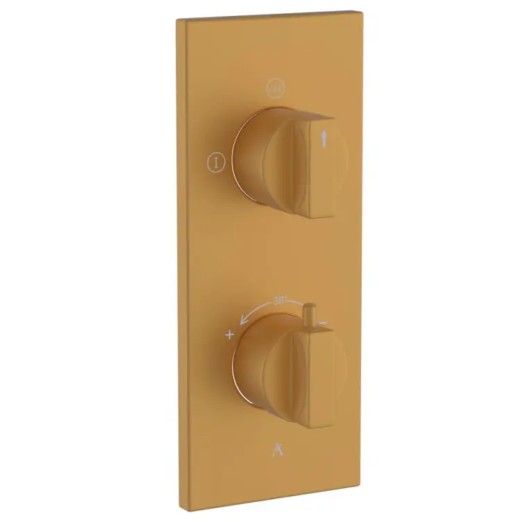 Artize Gold Matt PVD Thermatik-R Thermostatic shower valve with 2-way outlets