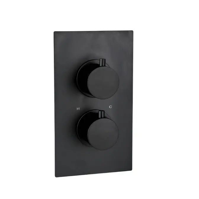 Treviso Thermostatic Concealed Shower Mixer One Outlet Black Matt