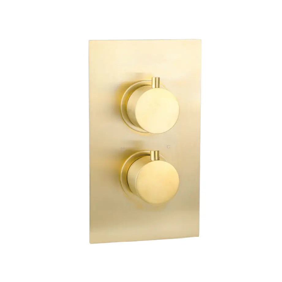 Treviso Thermostatic Concealed Shower Mixer One Outlet Brushed Gold