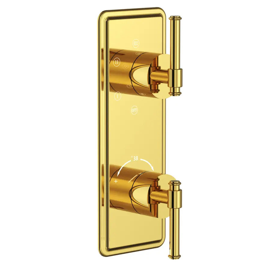 Artize Gold Bright PVD VIC Thermostatic Shower Mixer 5-way Outlets