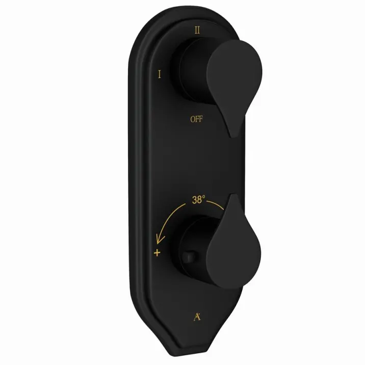 Artize Black Matt Tiaara Thermostatic shower valve with 3-way outlets Image 0