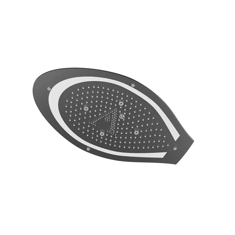 Artize Black Matt Tiaara Rainjoy AISI 304 stainless steel false ceiling shower