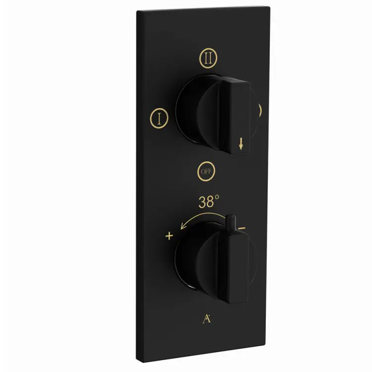 Artize Black Matt Thermatik-R Thermostatic shower valve with 4-way outlets