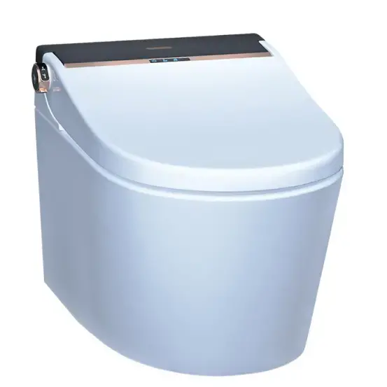 Artize Black White Luxelet Fully Automatic Rimless Wall Hung Toilet With PP Electronic Seat Cover