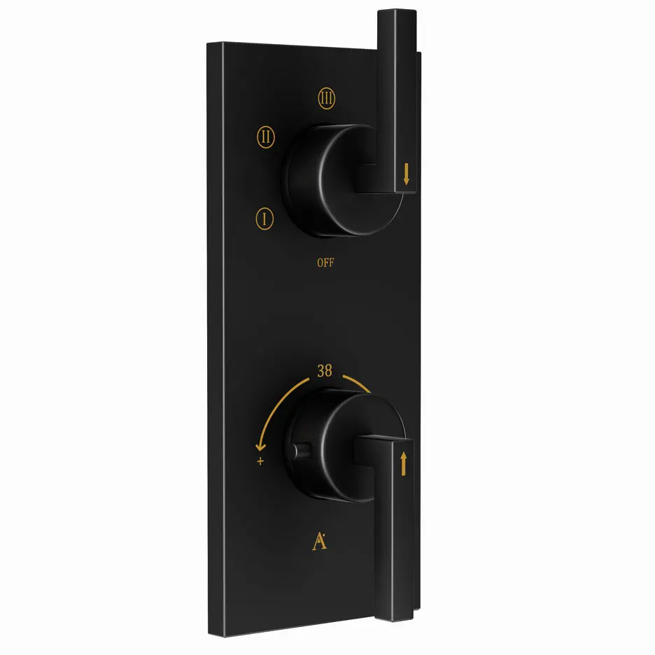 Artize Black Matt Linea Thermostatic shower valve with 5-way outlets