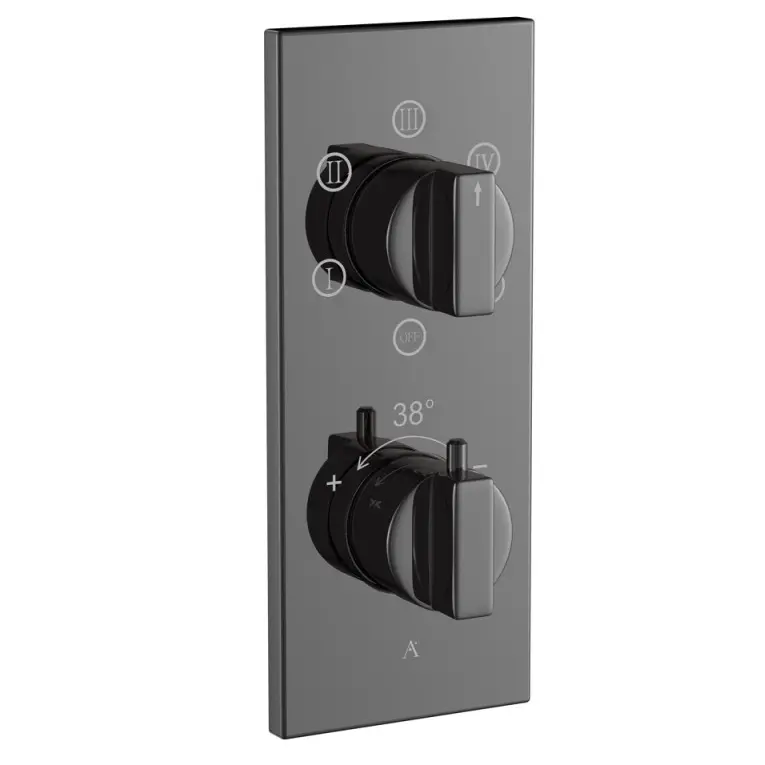 Artize Black Chrome Thermatik-R Thermostatic shower valve with 5-way outlets Image 0