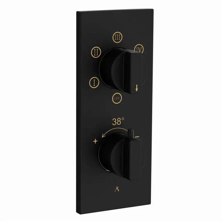 Artize Black Matt Thermatik-R Thermostatic shower valve with 5-way outlets Image 0