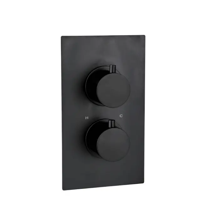 Treviso Thermostatic Concealed Shower Mixer Two Outlet Black Matt