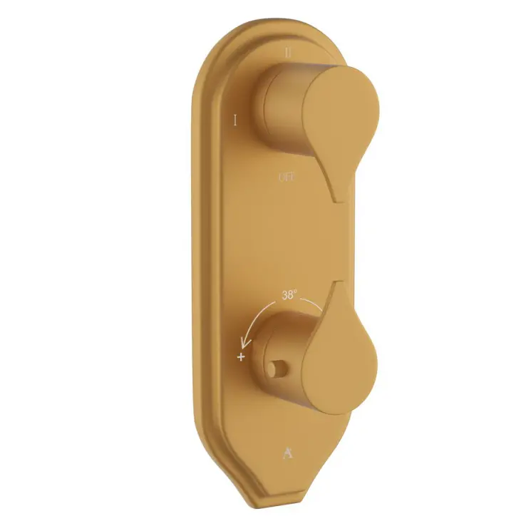 Artize Gold Matt PVD Tiaara Thermostatic shower valve with 2-way outlets