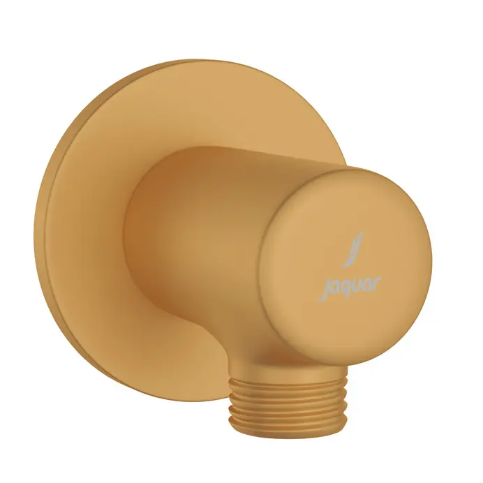 Jaquar Gold Matt PVD Wall Outlet With Shower Hook in Round Shape