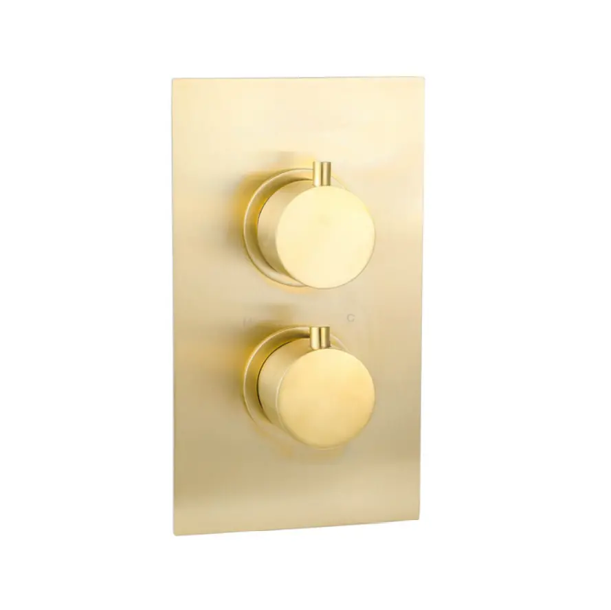 Treviso Thermostatic Concealed Shower Mixer Two Outlet Brushed Gold