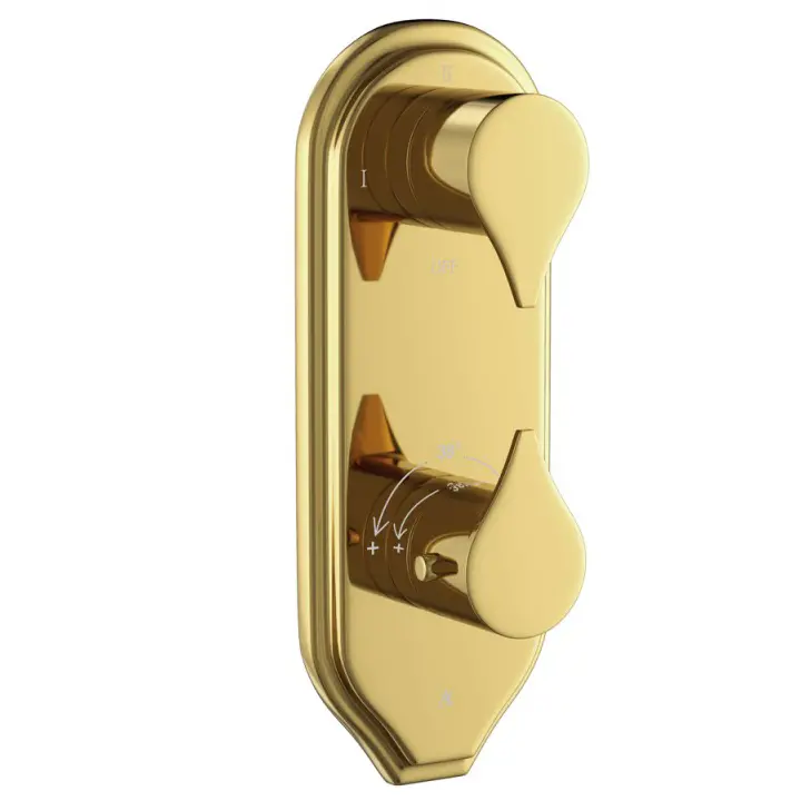 Artize Gold Bright PVD Tiaara Thermostatic shower valve with 2-way outlets Image 0