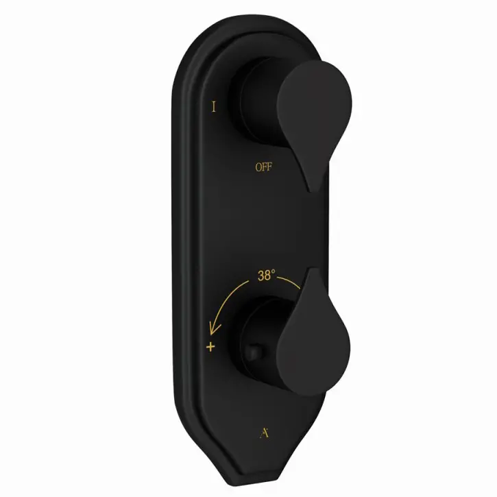 Artize Black Matt Tiaara Thermostatic shower valve with 2-way outlets