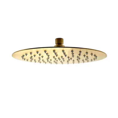 250mm Ceiling Mounted Overhead Shower Brushed Gold