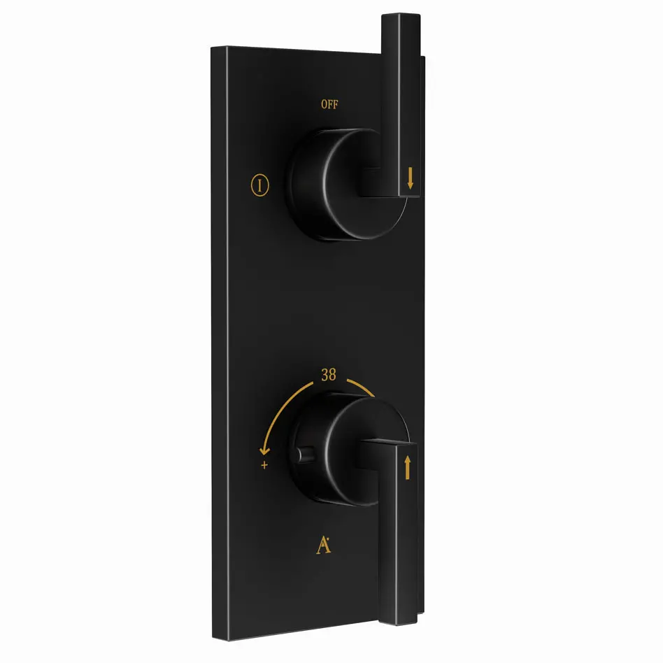 Artize Black Matt Linea Thermostatic shower valve with 2-way outlets