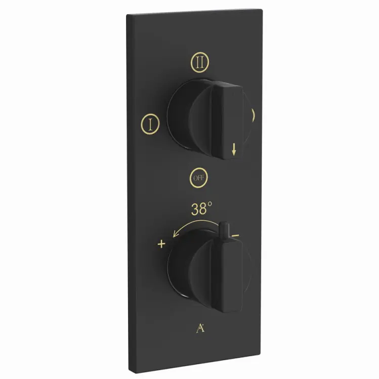 Artize Black Matt Thermatik-R Thermostatic shower valve with 3-way outlets Image 0