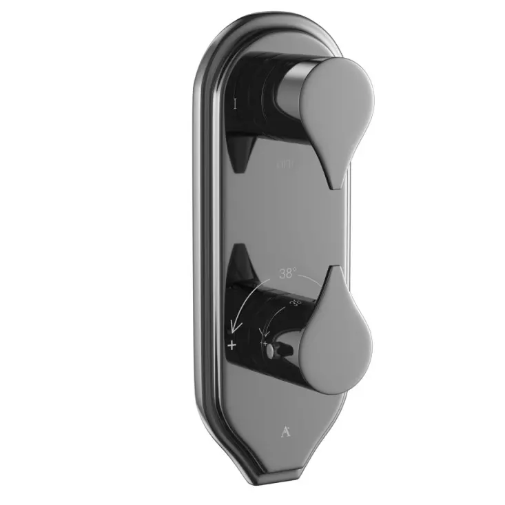 Artize Black Chrome Tiaara Thermostatic shower valve with 2-way outlets Image 0