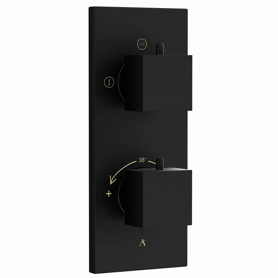 Artize Black Matt Thermatik-S in-wall thermostatic shower valve with 2-way outlets