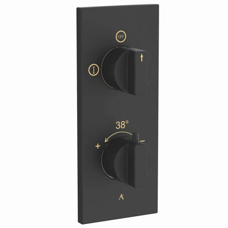 Artize Black Matt Thermatik-R Thermostatic shower valve with 2-way outlets